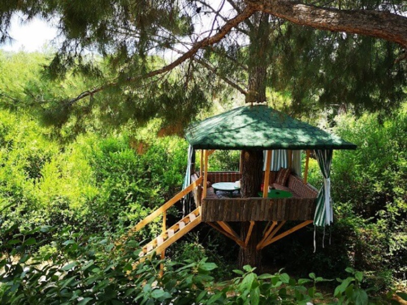 Saklikent Safari Tour