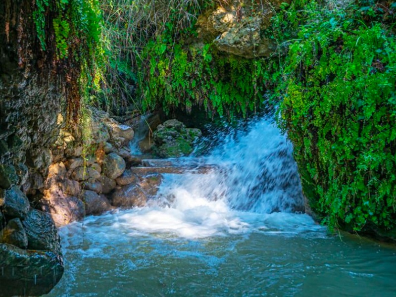 Saklikent Safari Tour